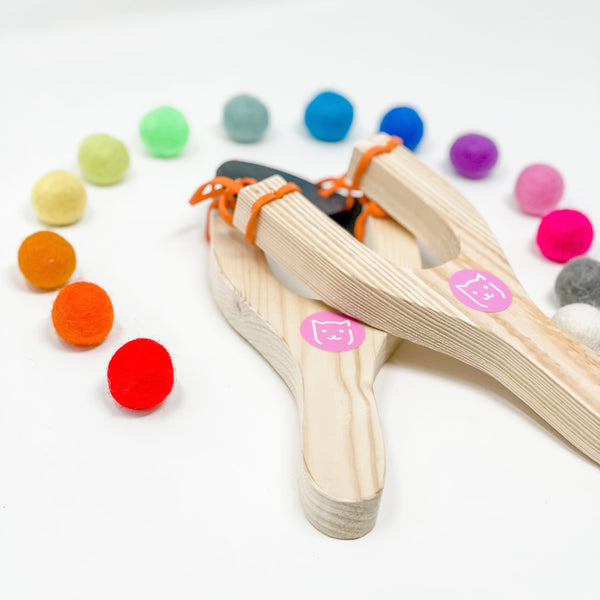 Slingshot Cat Toy Set