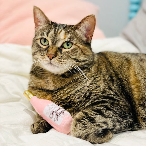Rosé Catnip Toy