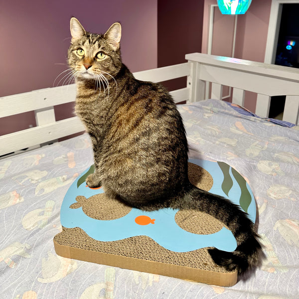 Fish Bowl Scratcher