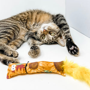 #wtfface Catnip Kicker Toy