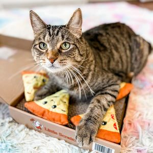 Pizza Box Scratcher & Catnip Toy Set