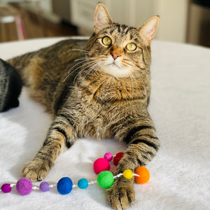 Rainbow Wool Ball Fishing Cat Toy