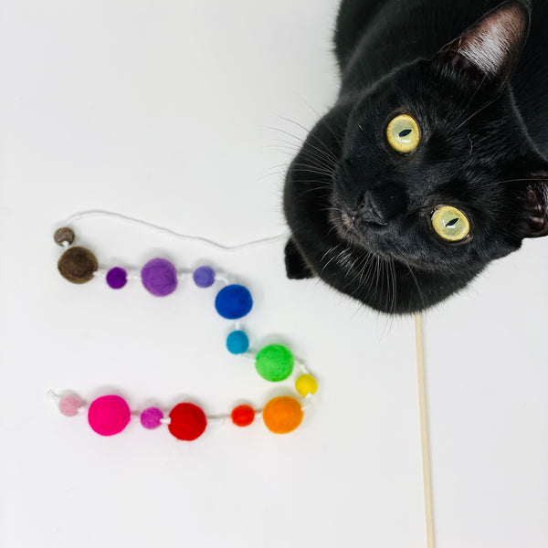 Rainbow Wool Ball Fishing Cat Toy