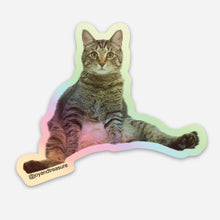 Load image into Gallery viewer, Treasure Pose Holographic Sticker