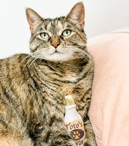 Vodka Catnip Toy