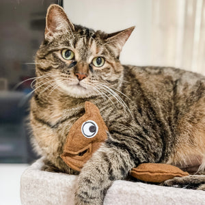 Jerk Squirrel Catnip Toy