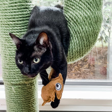 Load image into Gallery viewer, Jerk Squirrel Catnip Toy