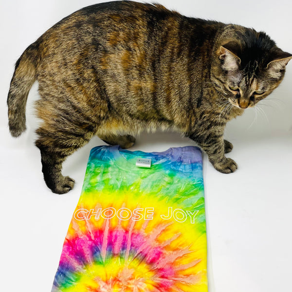 Choose Joy Tie-Dye Rainbow T-Shirt
