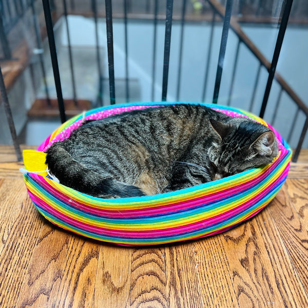 Rainbow Cat Canoe