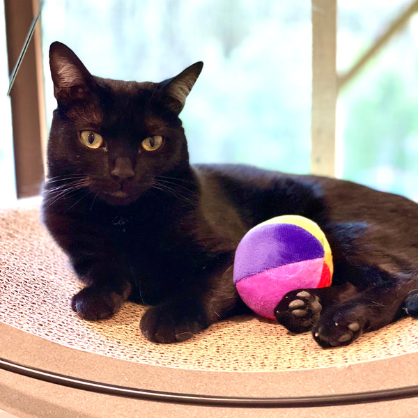 Beach Ball Catnip Toy