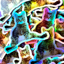 Load image into Gallery viewer, Treasure Pose Holographic Sticker