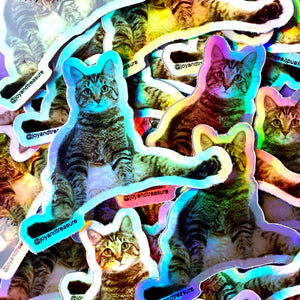 Treasure Pose Holographic Sticker