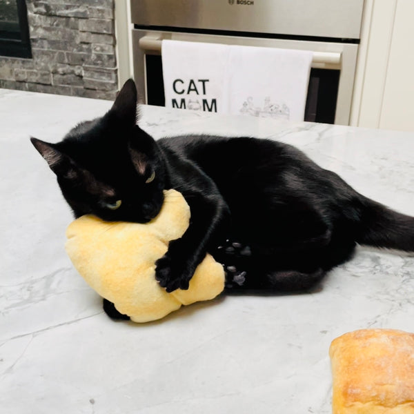 Sparkle's Ciabatta