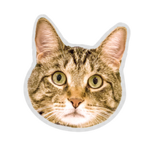Load image into Gallery viewer, Treasure WTF Face Sticker