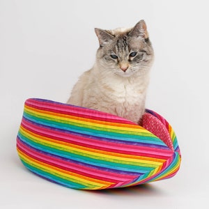 Rainbow Cat Canoe