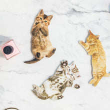 Load image into Gallery viewer, Tabby Cat Nail File