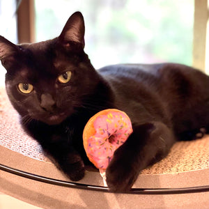 Strawberry Donut Catnip Toy