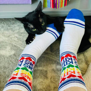 Rainbow Kittens Socks