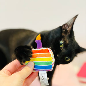 Rainbow Cake Catnip Toy