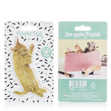 Load image into Gallery viewer, Tabby Cat Nail File