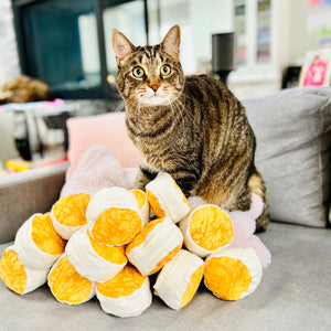 Treasure's Sexy Biscuit